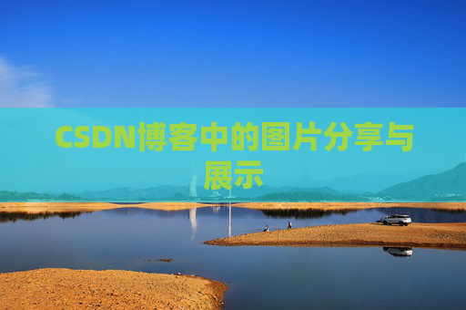 CSDN博客中的图片分享与展示